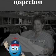 blue-chip-inspection